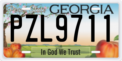 GA license plate PZL9711