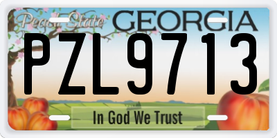 GA license plate PZL9713
