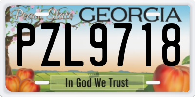 GA license plate PZL9718