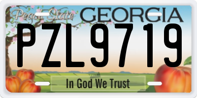 GA license plate PZL9719