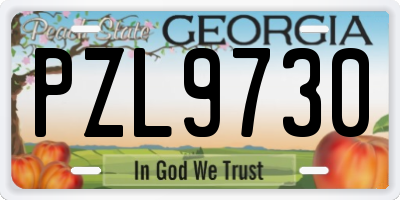 GA license plate PZL9730