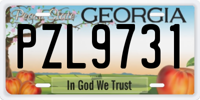 GA license plate PZL9731