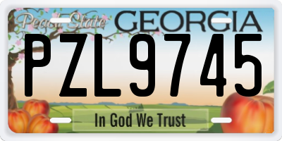 GA license plate PZL9745