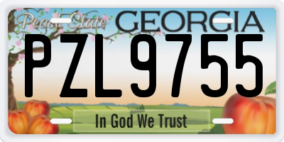 GA license plate PZL9755