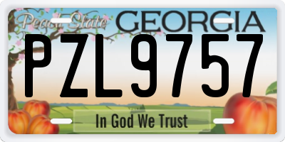 GA license plate PZL9757