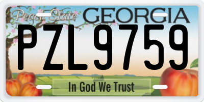 GA license plate PZL9759