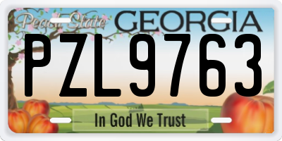 GA license plate PZL9763
