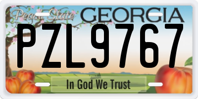 GA license plate PZL9767