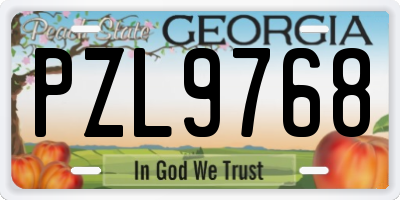 GA license plate PZL9768