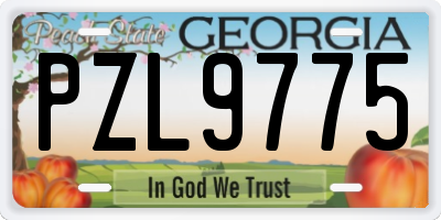GA license plate PZL9775