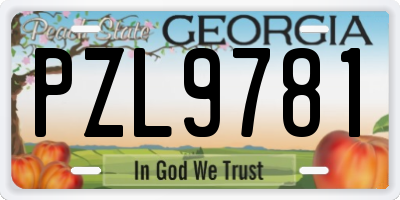 GA license plate PZL9781