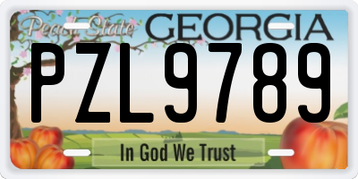 GA license plate PZL9789