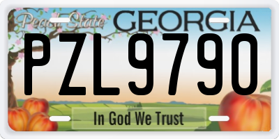 GA license plate PZL9790