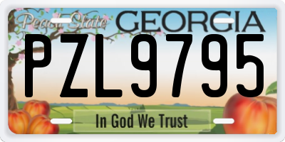 GA license plate PZL9795