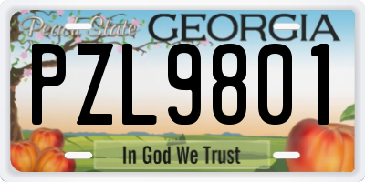 GA license plate PZL9801