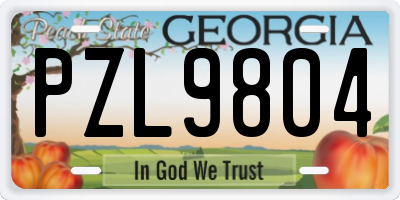 GA license plate PZL9804