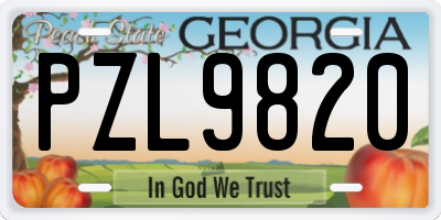 GA license plate PZL9820