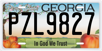 GA license plate PZL9827