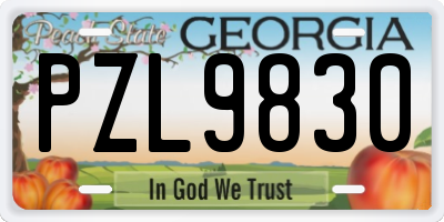 GA license plate PZL9830