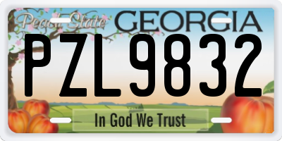 GA license plate PZL9832