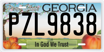 GA license plate PZL9838