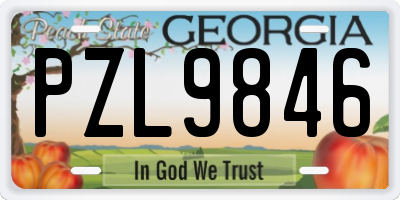 GA license plate PZL9846