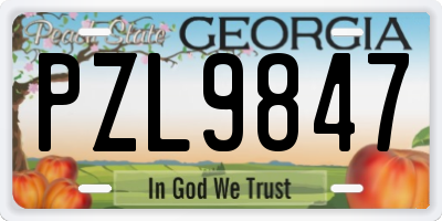 GA license plate PZL9847