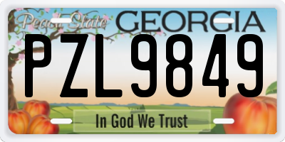 GA license plate PZL9849