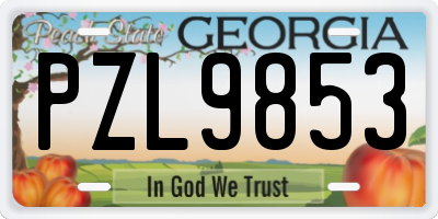 GA license plate PZL9853