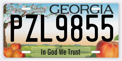 GA license plate PZL9855