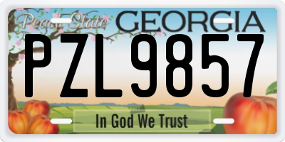 GA license plate PZL9857