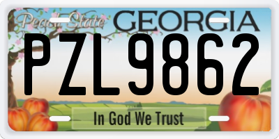 GA license plate PZL9862
