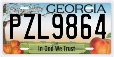 GA license plate PZL9864