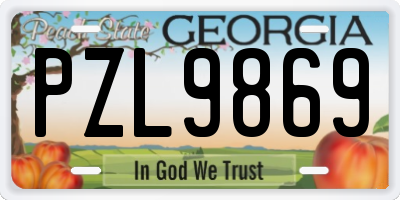 GA license plate PZL9869