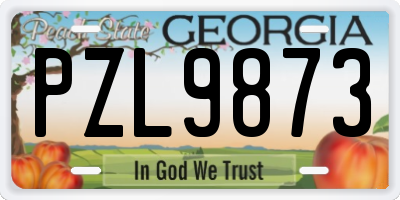 GA license plate PZL9873