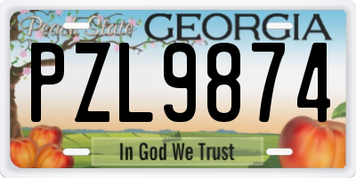 GA license plate PZL9874