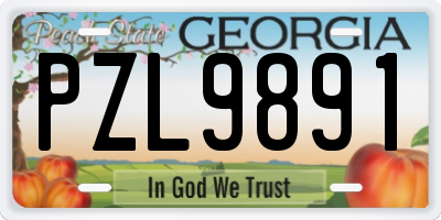 GA license plate PZL9891