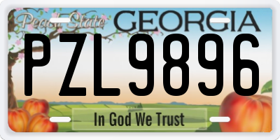 GA license plate PZL9896
