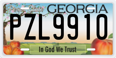 GA license plate PZL9910