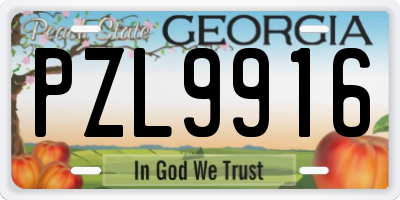 GA license plate PZL9916
