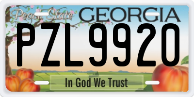 GA license plate PZL9920