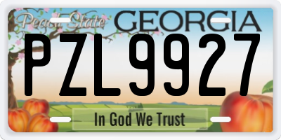 GA license plate PZL9927