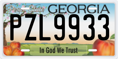 GA license plate PZL9933