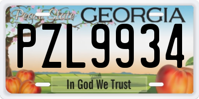 GA license plate PZL9934