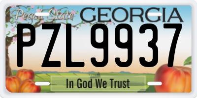 GA license plate PZL9937