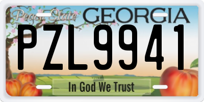 GA license plate PZL9941