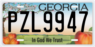 GA license plate PZL9947