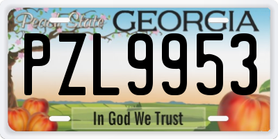 GA license plate PZL9953