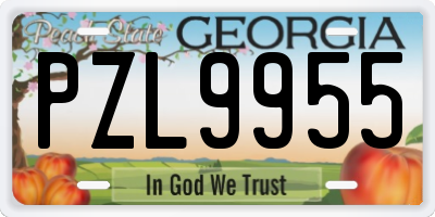 GA license plate PZL9955