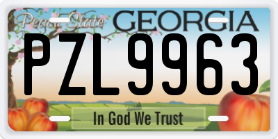 GA license plate PZL9963